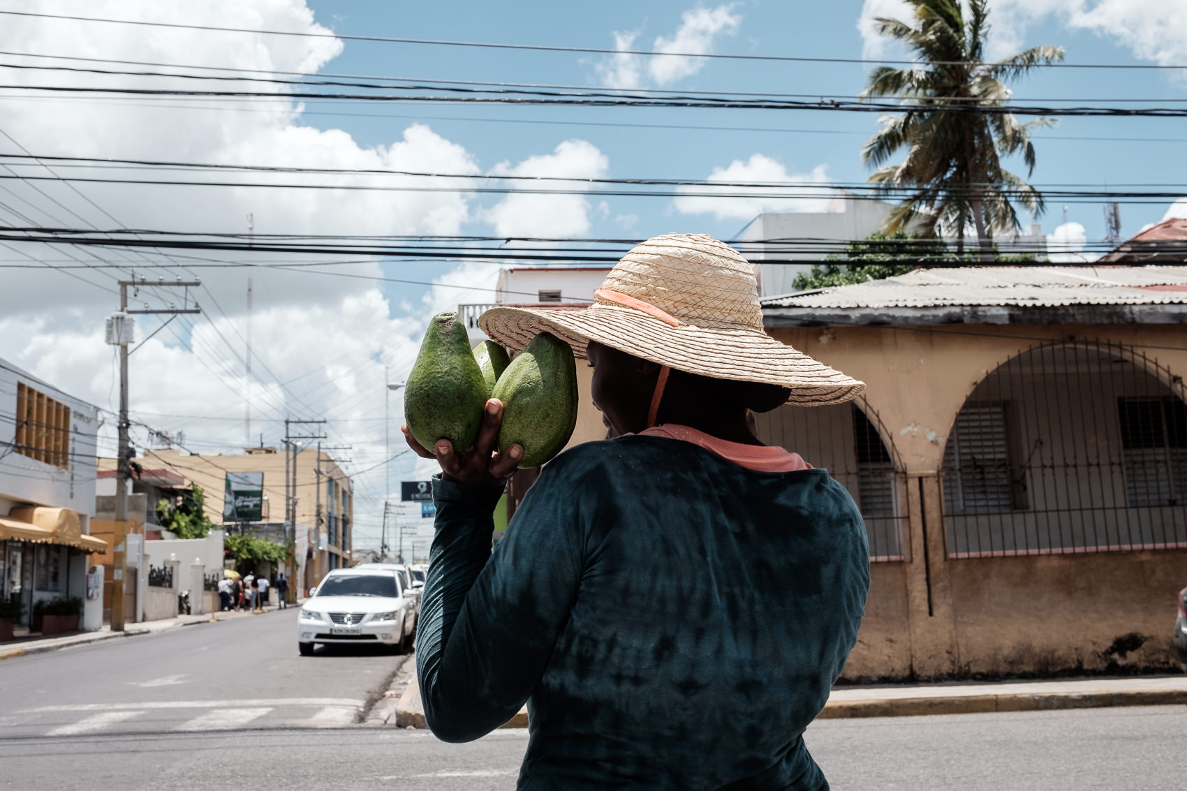 Dominican Republic 21 Santo Domingo Fresh Papayas 2017